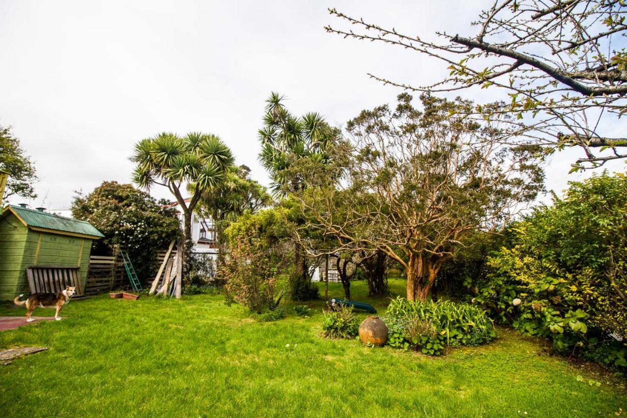 13 Lunas Hostel Ancud Zewnętrze zdjęcie